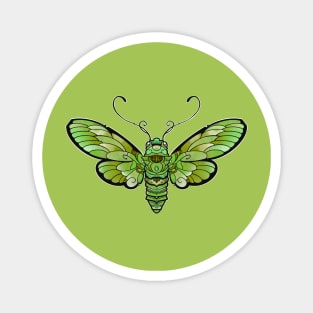 olive green butterfly moth Magnet